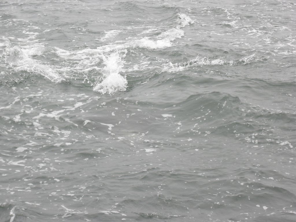 Image CIMG8478.JPG