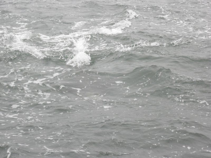 Image CIMG8478.JPG