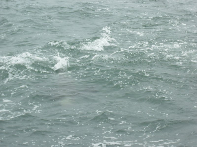 Image CIMG8479.JPG