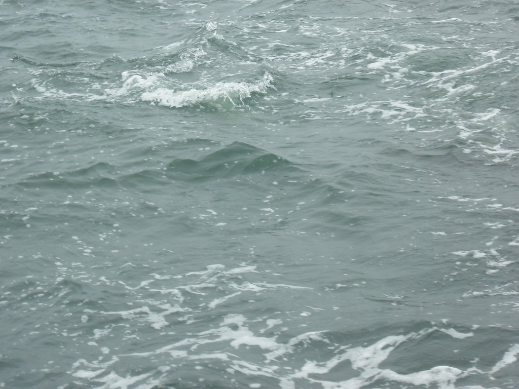 Image CIMG8481.JPG