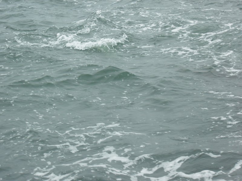 Image CIMG8481.JPG