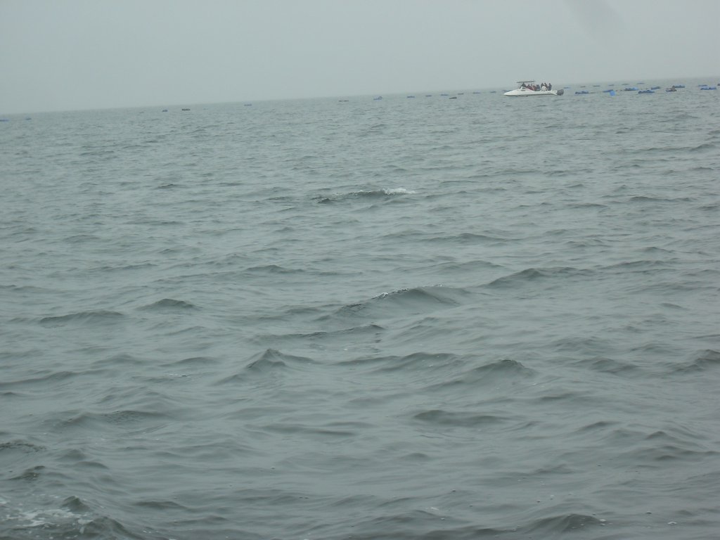 Image CIMG8482.JPG