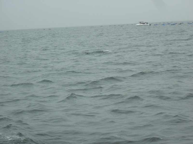 Image CIMG8482.JPG