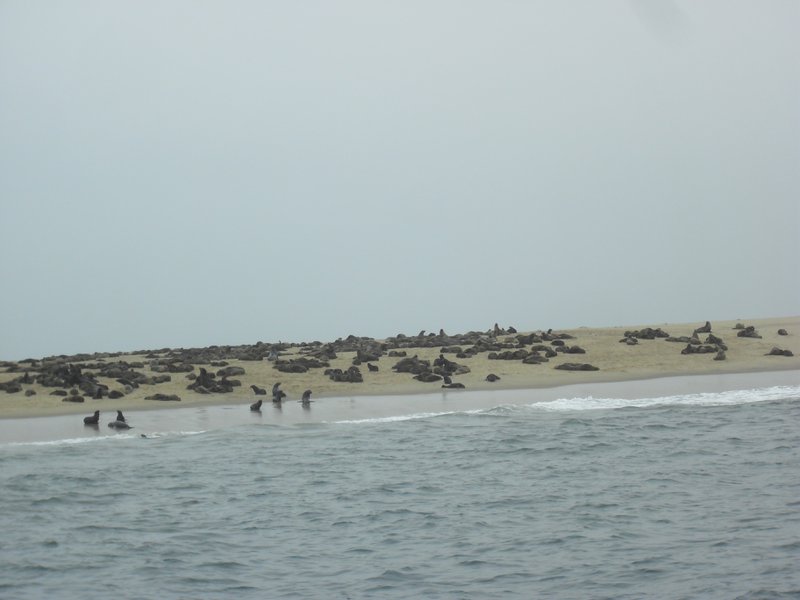 Image CIMG8487.JPG