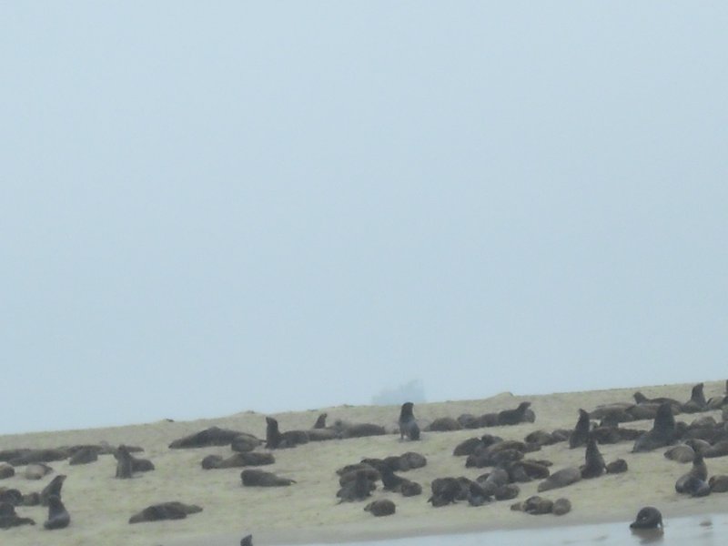 Image CIMG8490.JPG