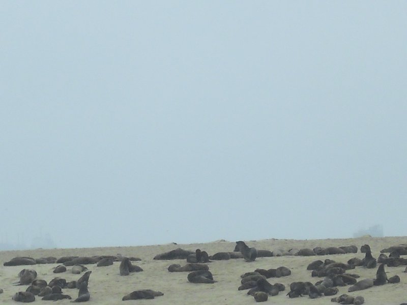 Image CIMG8491.JPG