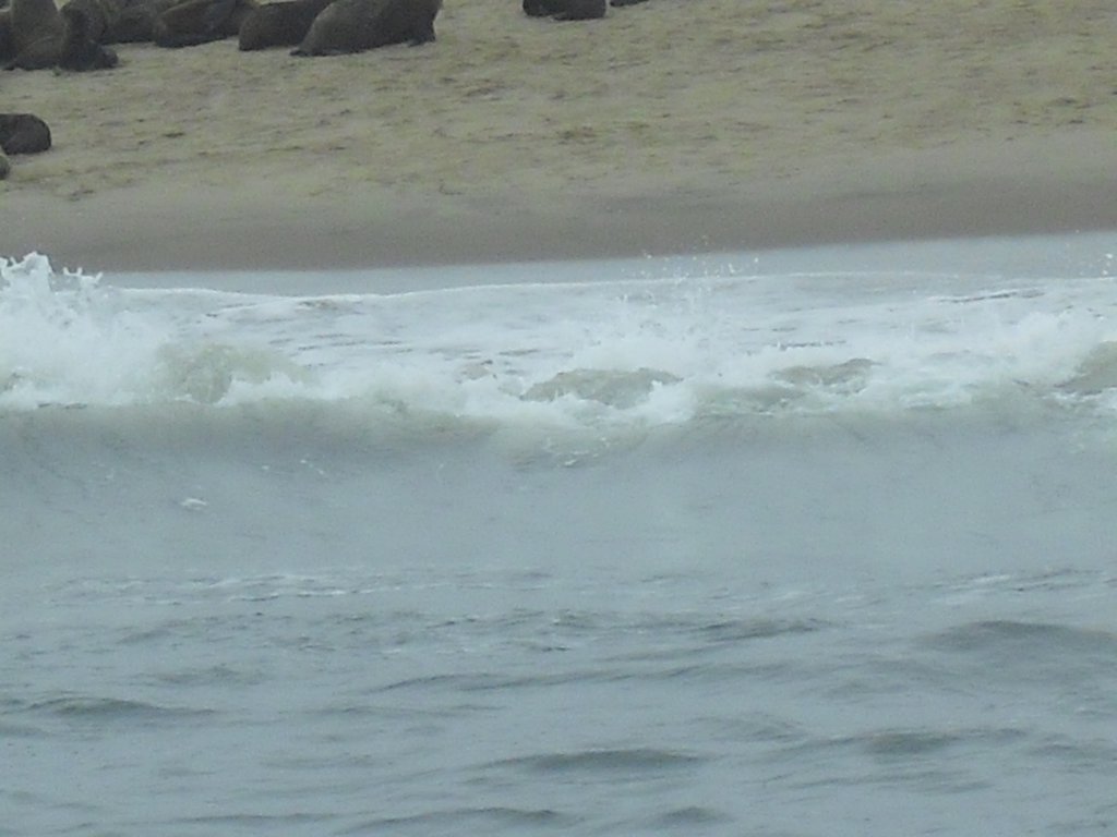 Image CIMG8493.JPG