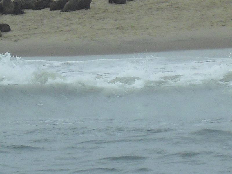 Image CIMG8493.JPG