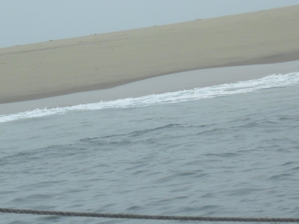 Image CIMG8504.JPG