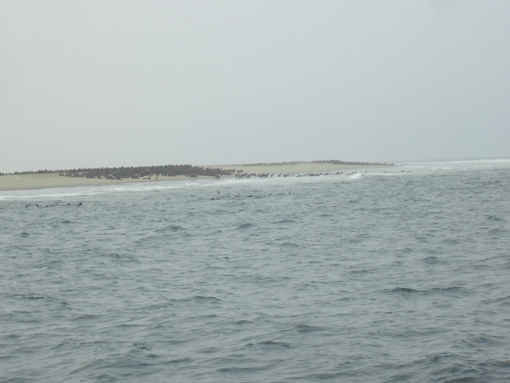 Image CIMG8509.JPG