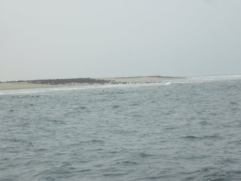 Image CIMG8509.JPG