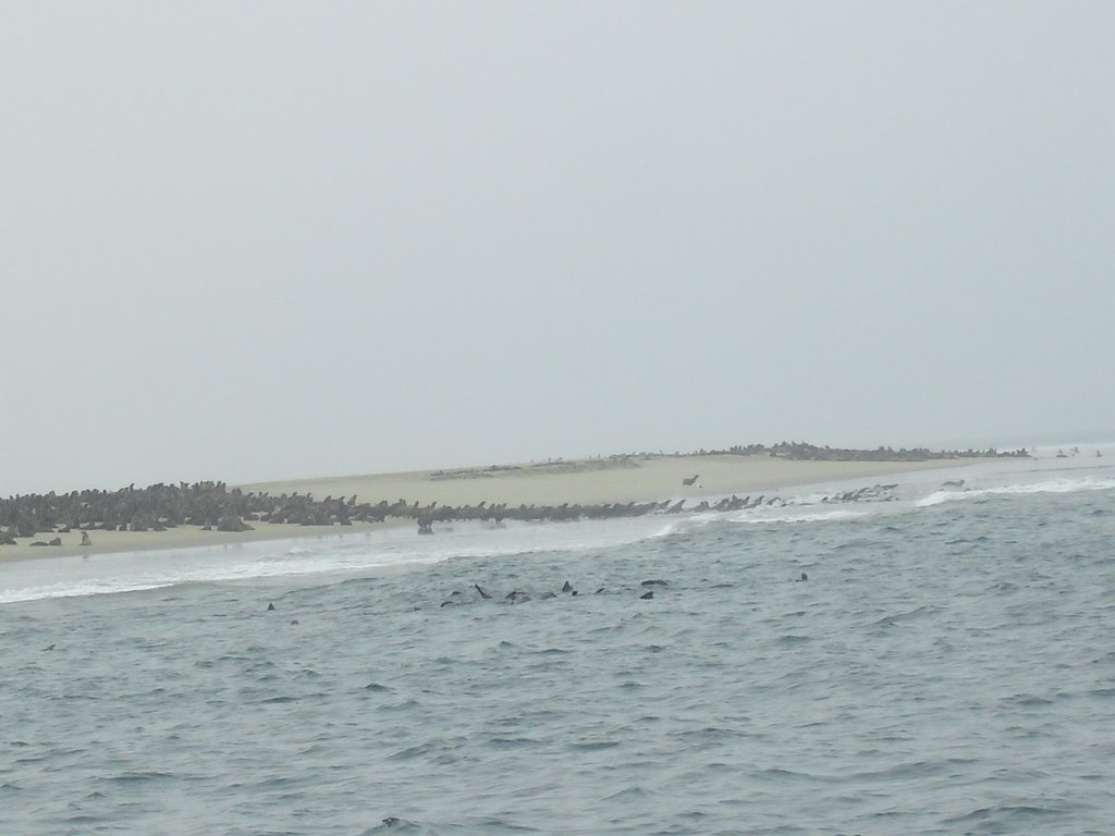 Image CIMG8510.JPG