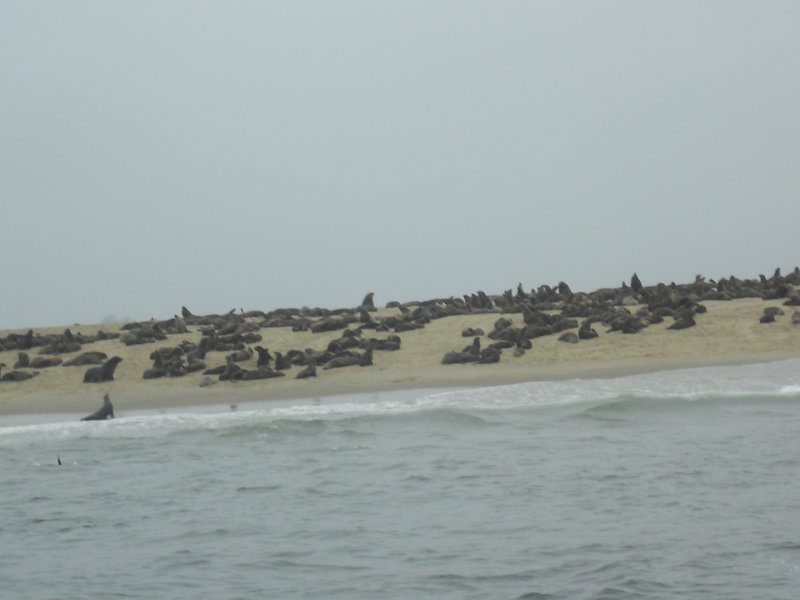 Image CIMG8515.JPG