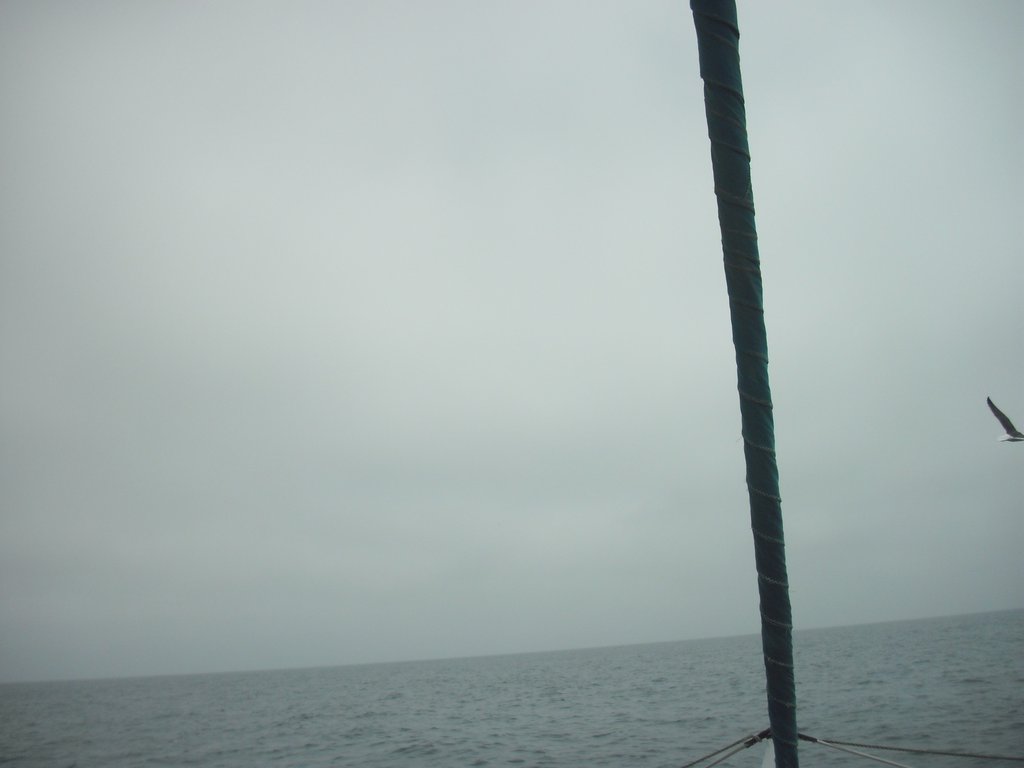 Image CIMG8516.JPG