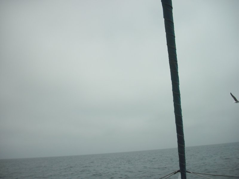 Image CIMG8516.JPG