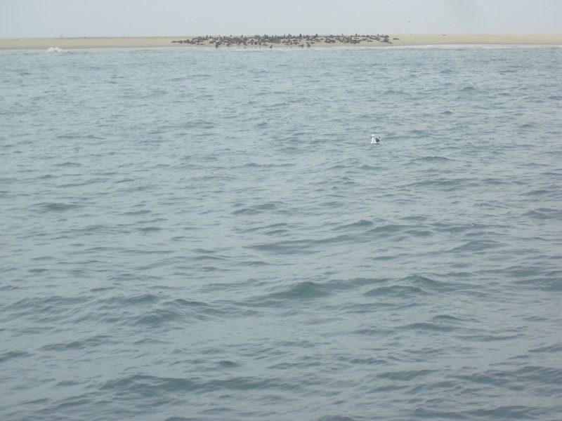 Image CIMG8517.JPG