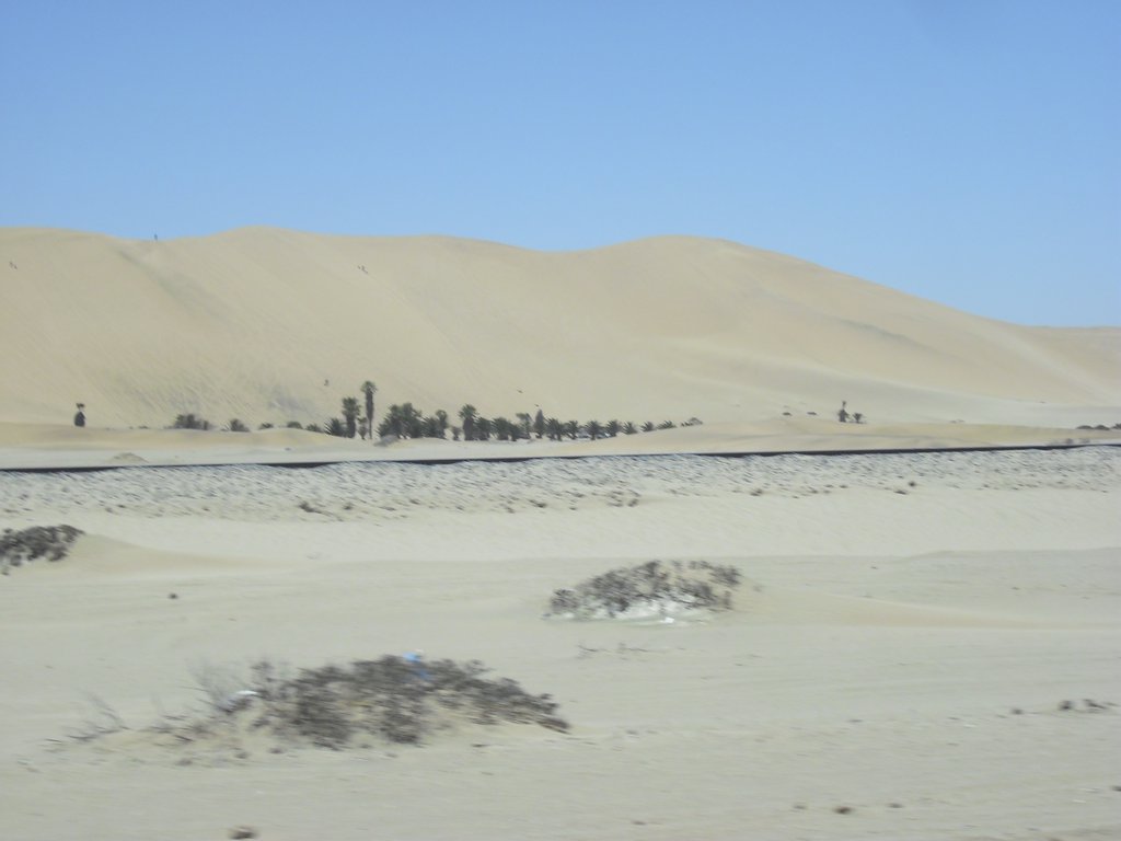 Image CIMG8528.JPG