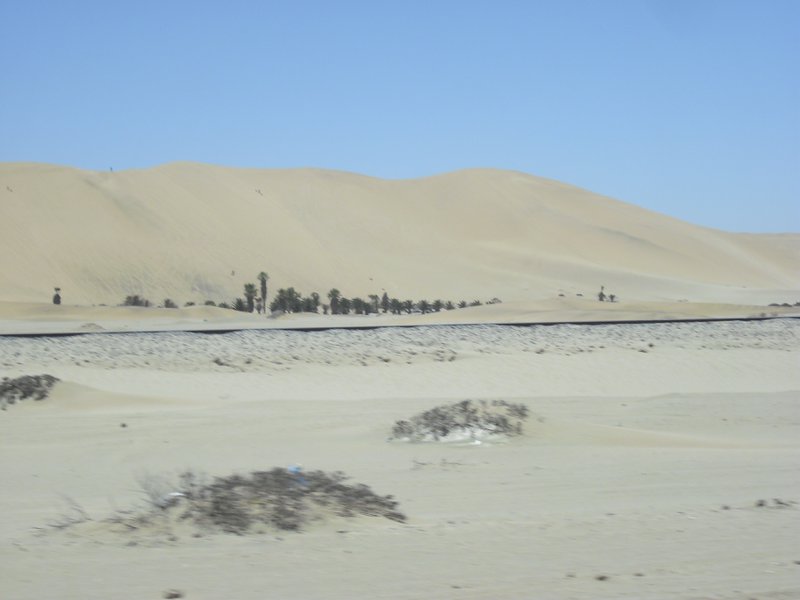 Image CIMG8528.JPG