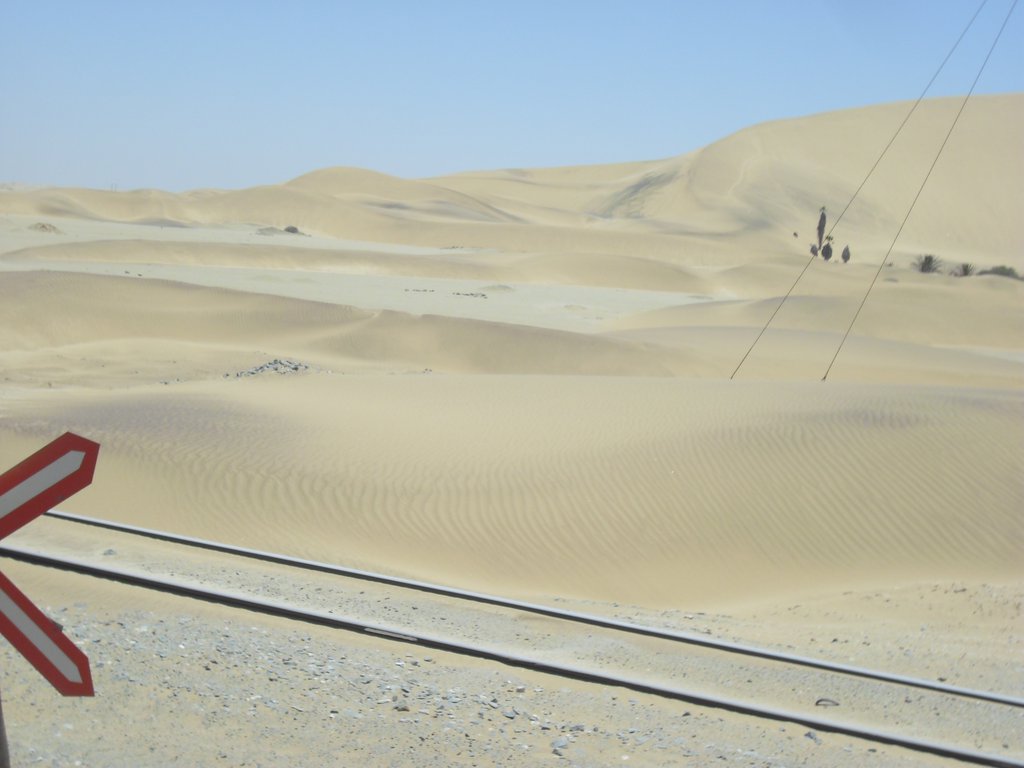 Image CIMG8529.JPG