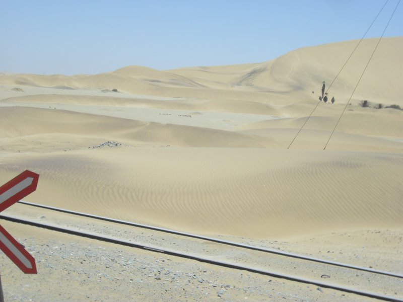 Image CIMG8529.JPG