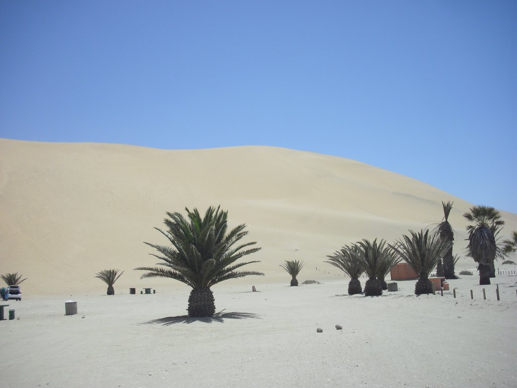 Image CIMG8531.JPG