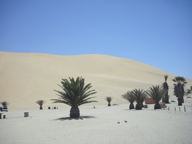 Image CIMG8531.JPG