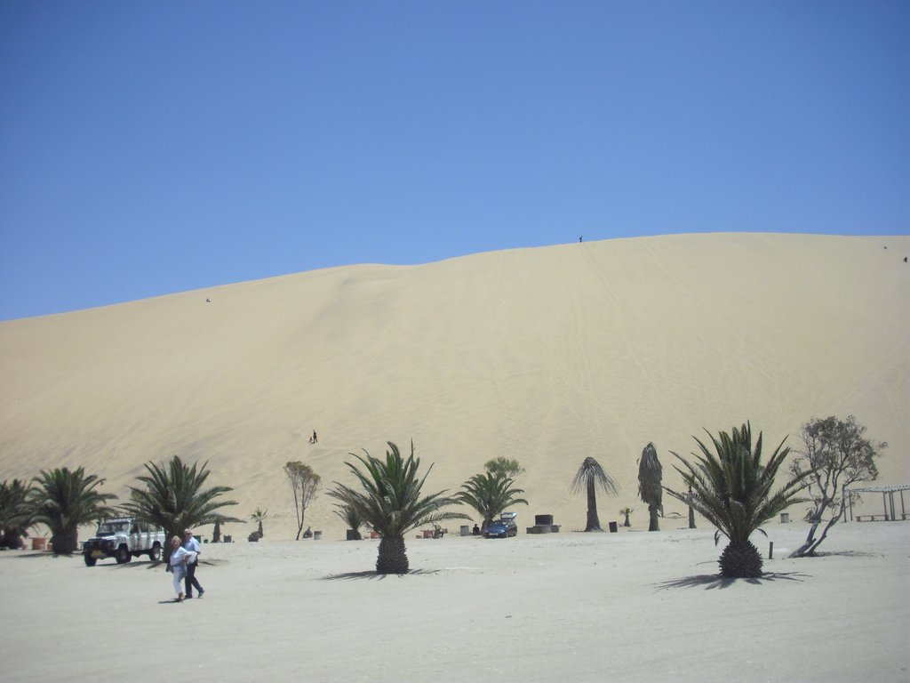 Image CIMG8532.JPG