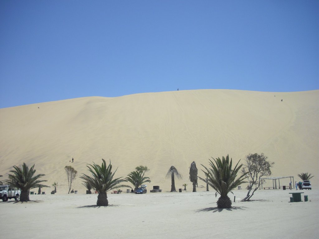 Image CIMG8533.JPG