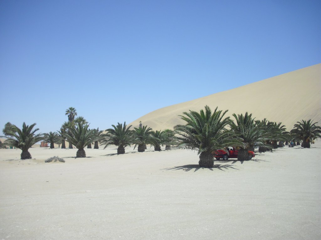 Image CIMG8534.JPG