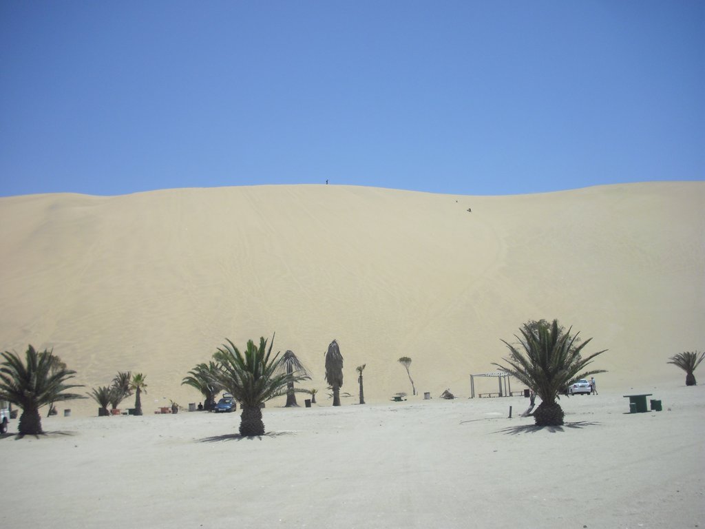 Image CIMG8535.JPG