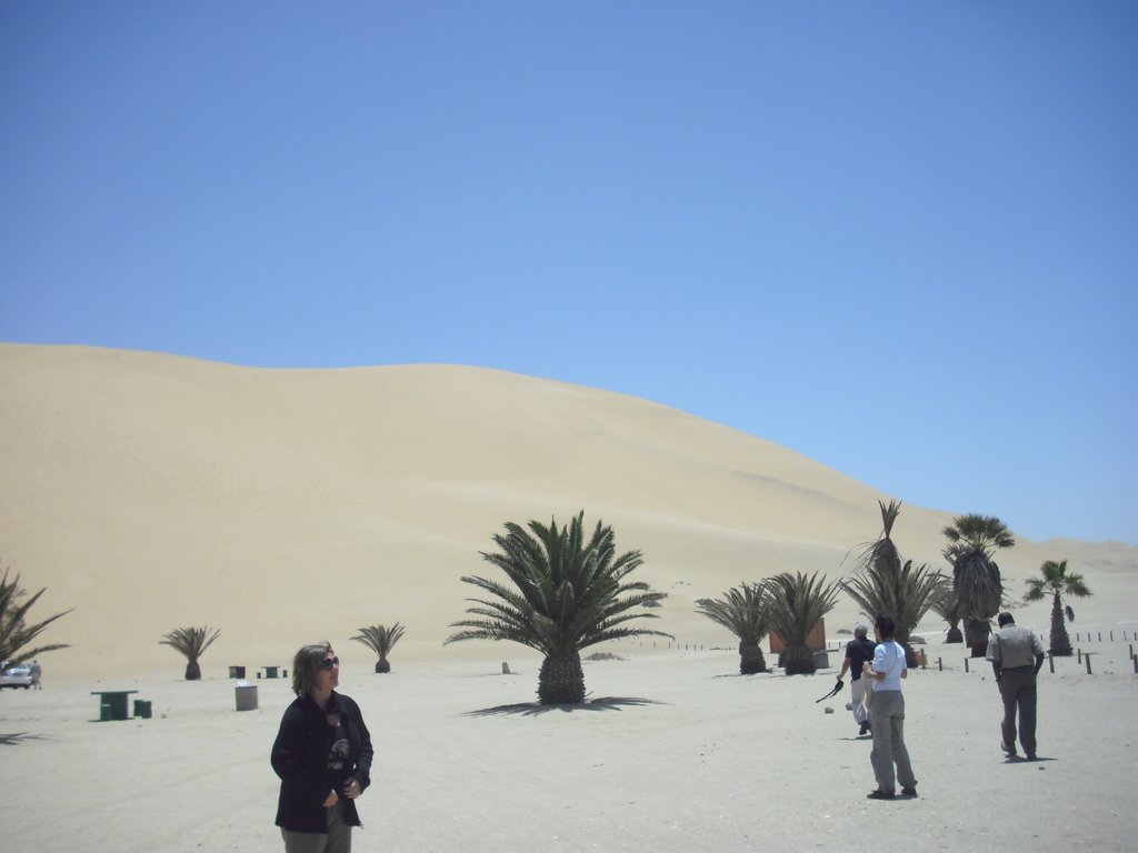 Image CIMG8536.JPG