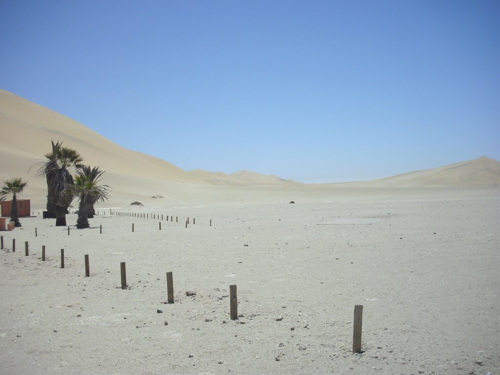 Image CIMG8537.JPG