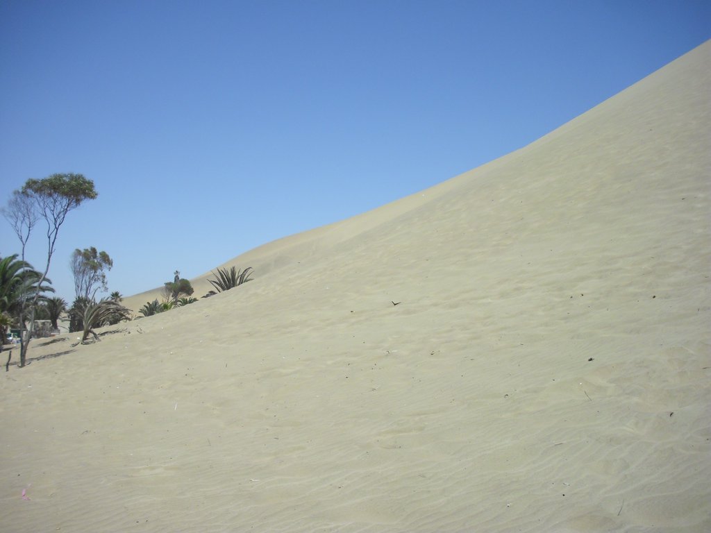 Image CIMG8540.JPG