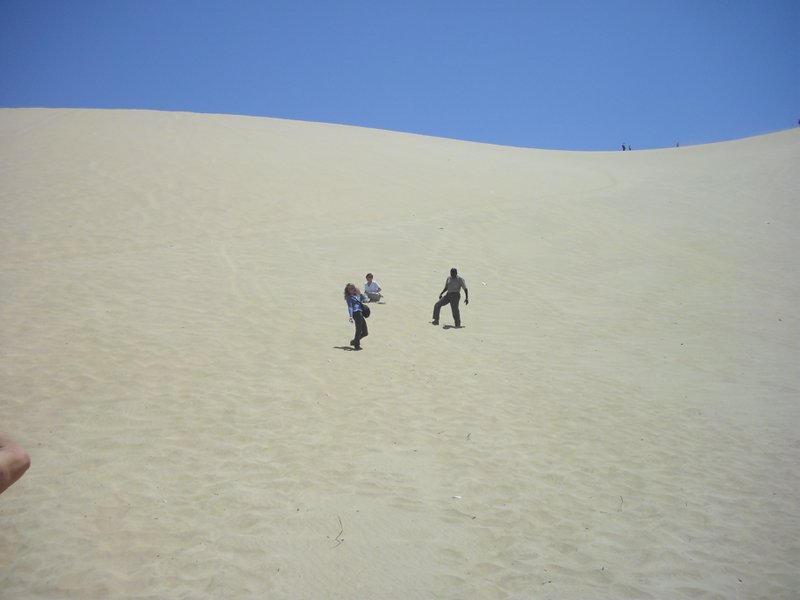 Image CIMG8541.JPG