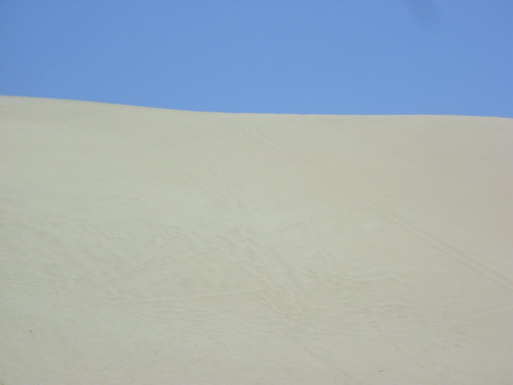 Image CIMG8543.JPG