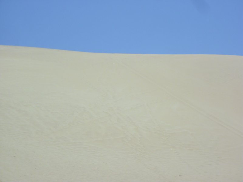 Image CIMG8543.JPG