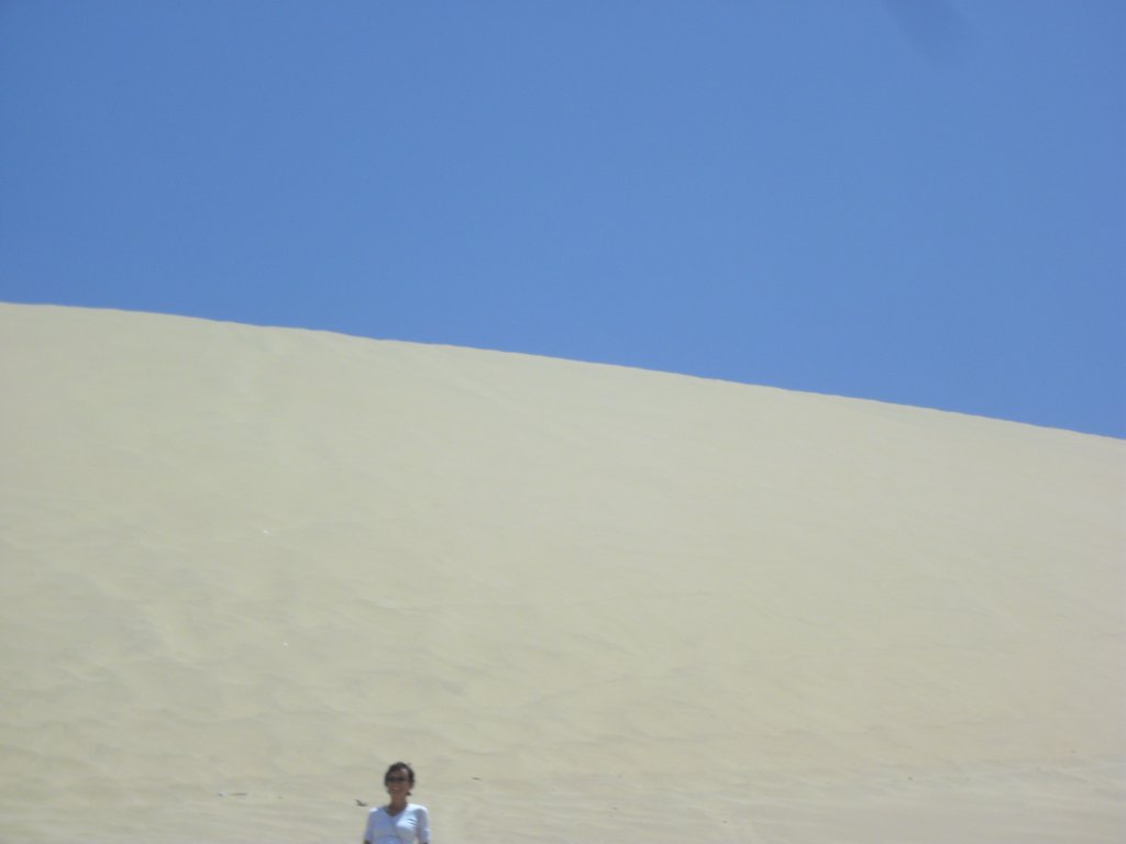 Image CIMG8544.JPG