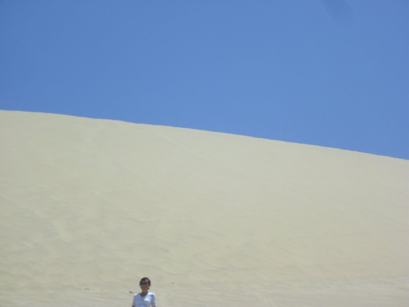 Image CIMG8544.JPG