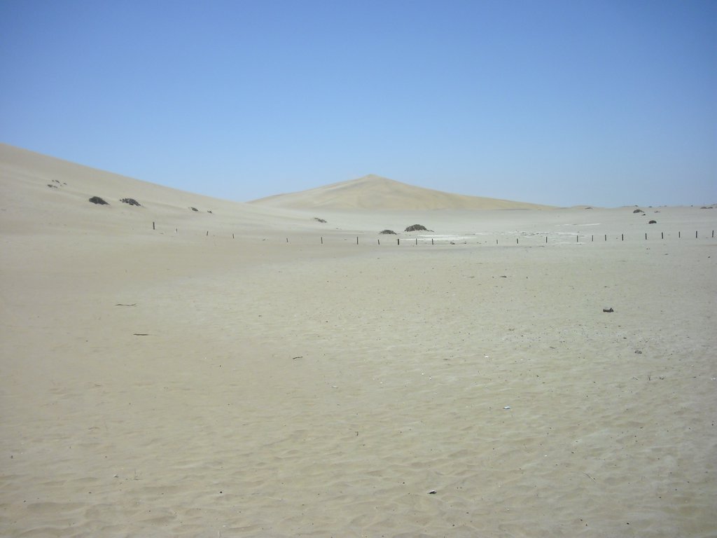 Image CIMG8546.JPG