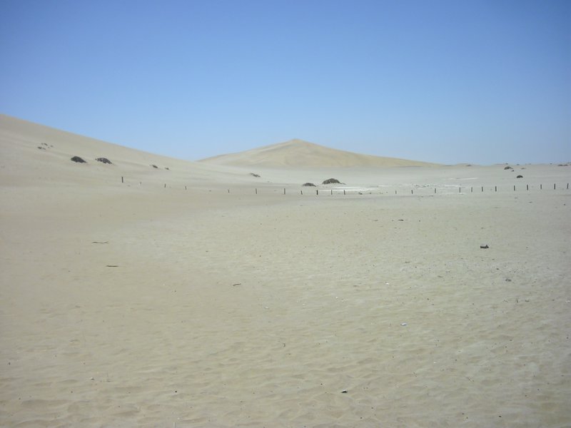 Image CIMG8546.JPG