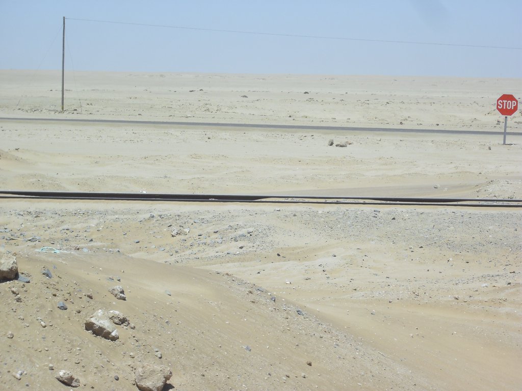 Image CIMG8549.JPG