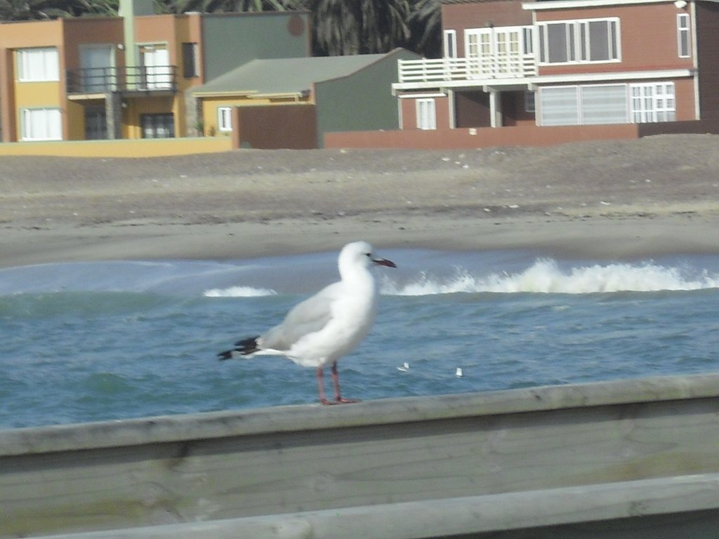 Image CIMG8553.JPG