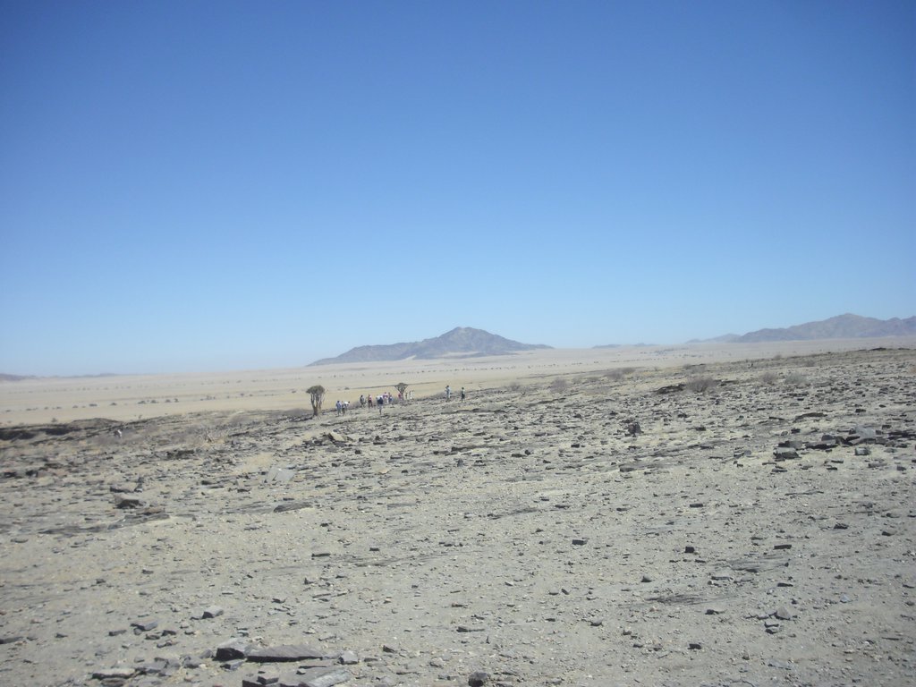 Image CIMG8567.JPG