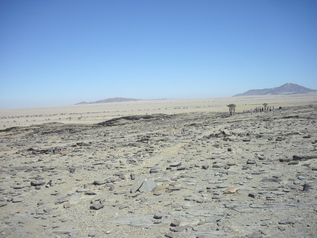 Image CIMG8570.JPG