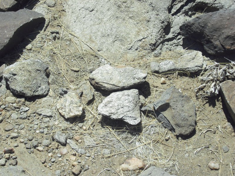 Image CIMG8571.JPG
