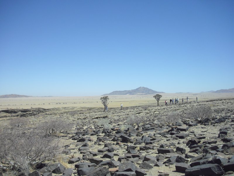 Image CIMG8575.JPG