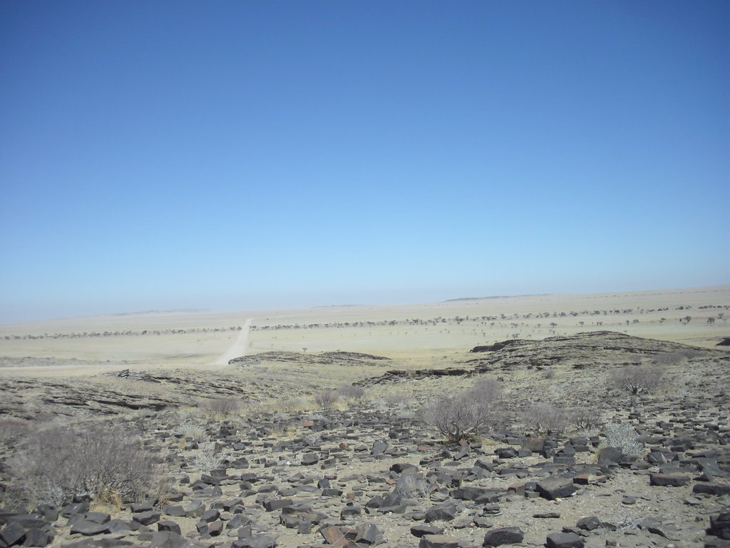 Image CIMG8576.JPG