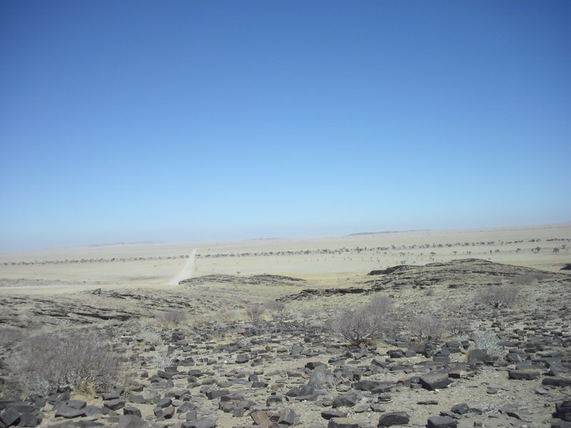 Image CIMG8576.JPG