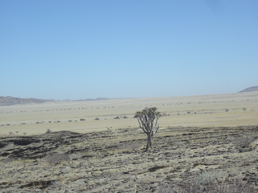 Image CIMG8577.JPG