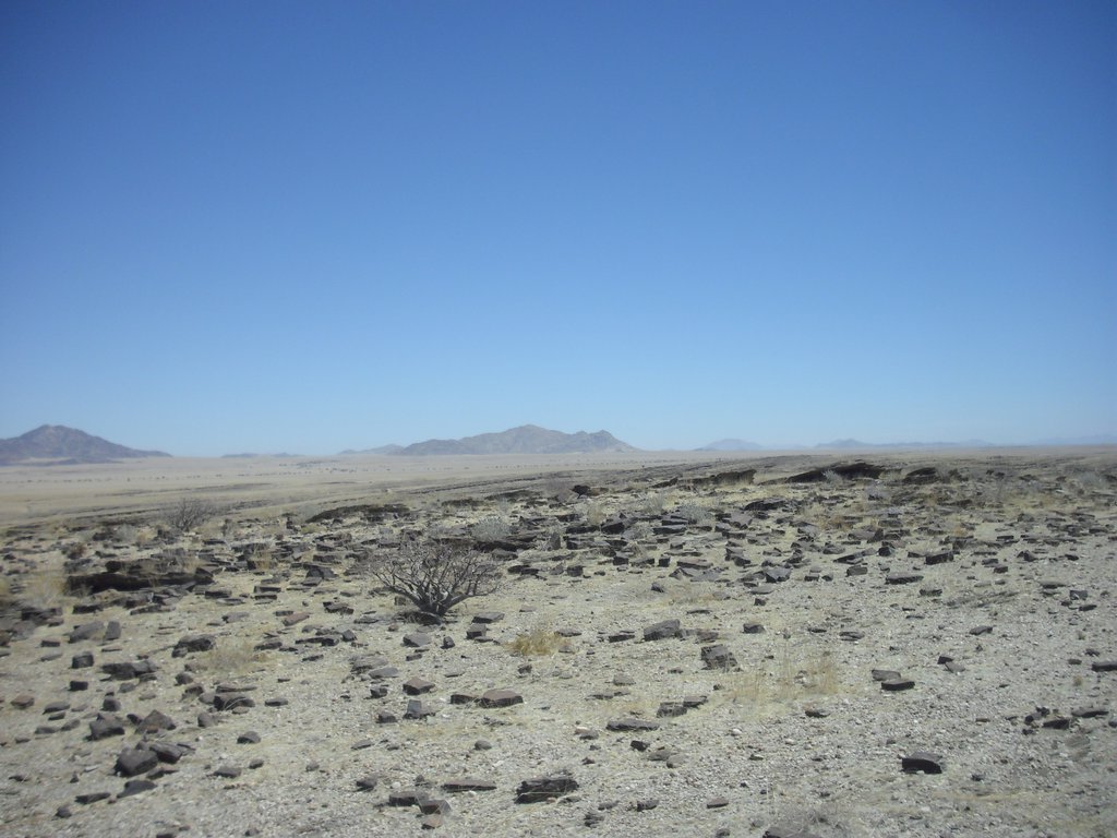 Image CIMG8578.JPG